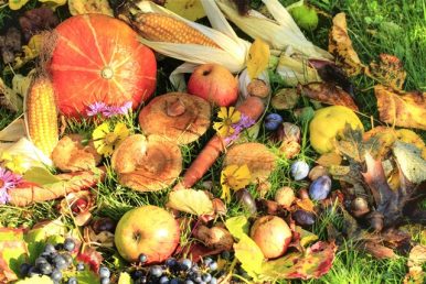 "Ernten und Danken - Ein herbstlicher Vortrag"