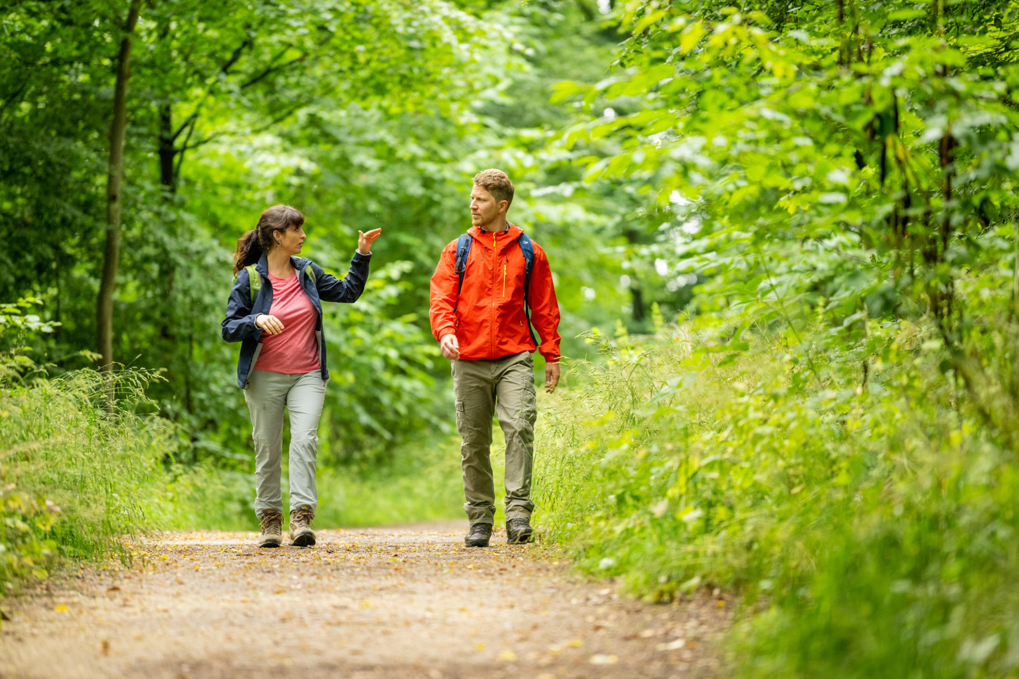 Wandern 1