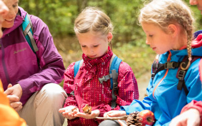 Stadtrallye für Kinder 4