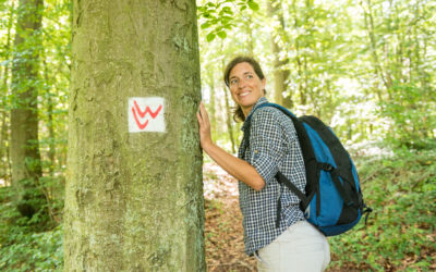 Aarhöhenweg 6