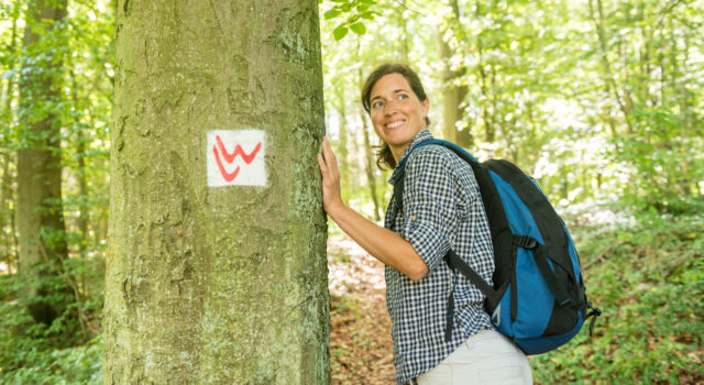 Aarhöhenweg 6