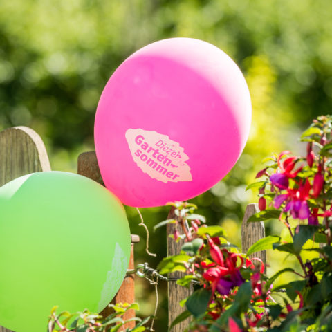 Termine Diezer Gartensommer 3