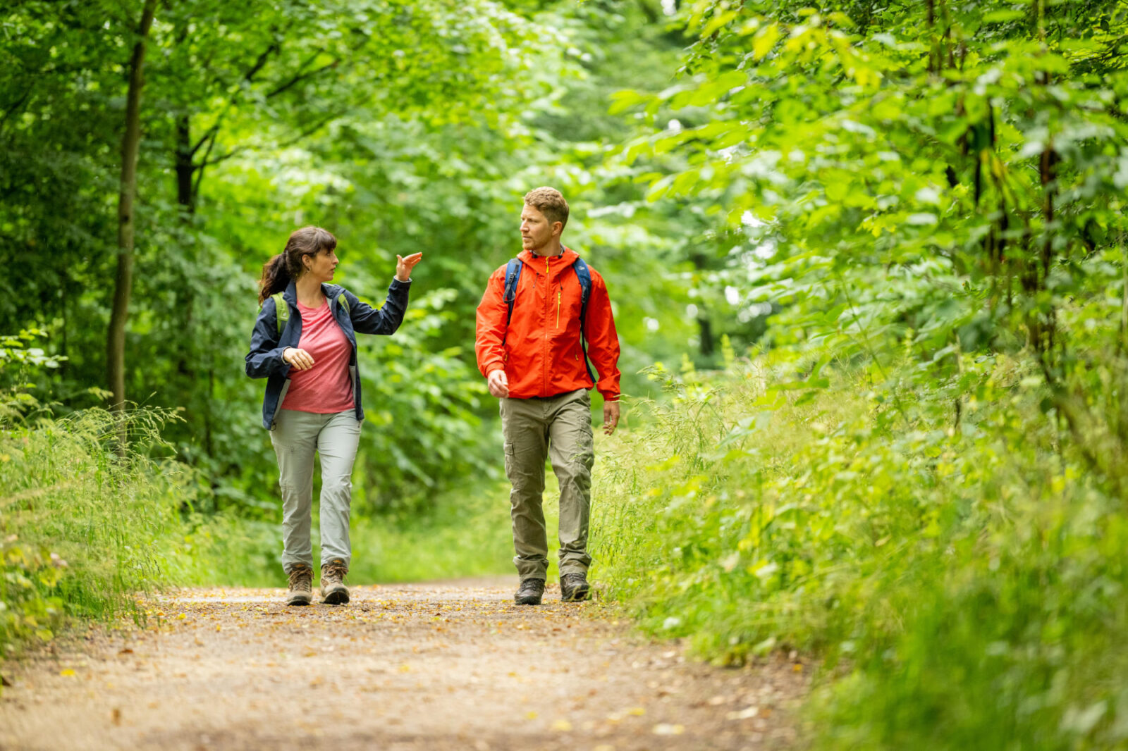 Wandern 1